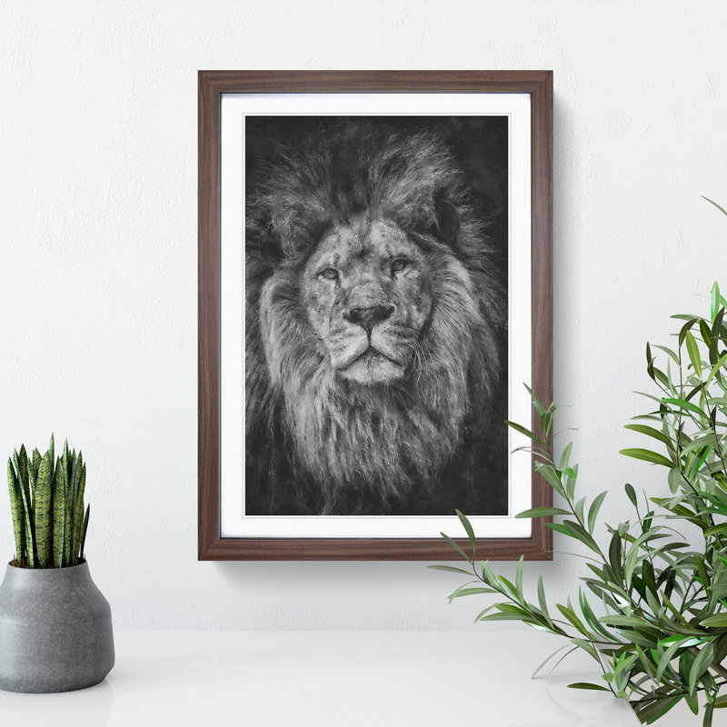 View of a Lion - Framed Print, Walnut, 48cm H x 36cm W x 2cm D