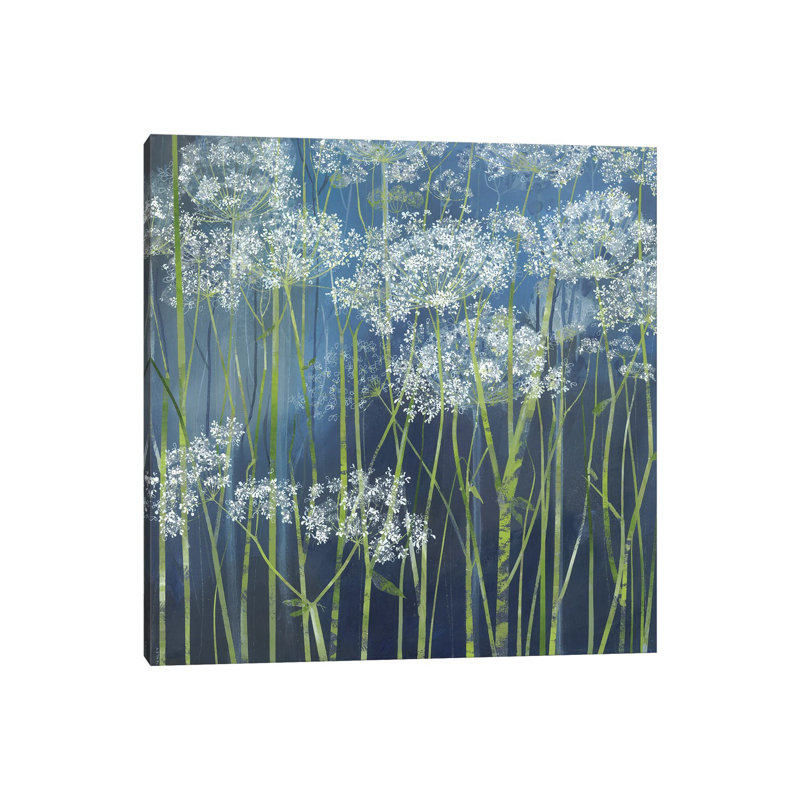 Cow Parsley by Claire Henley - Gallery-Wrapped Canvas Giclée on Canvas, Wrapped Canvas, 45.72 cm H x 45.72 cm W