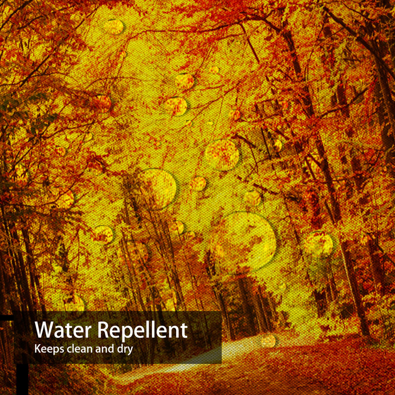 Rideau de douche Sunny Autumn, L 72 po x l 72 po