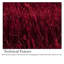 Braided Solid Colour Area Rug-348799174
