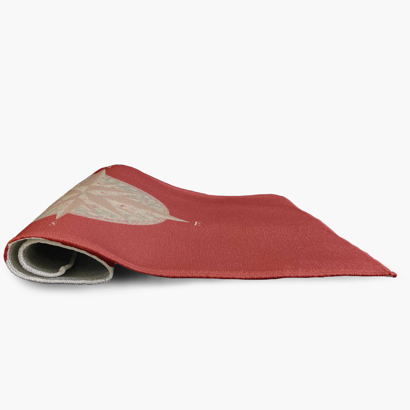 Tapis intérieur / extérieur Demastrow, Rectangle 2 pi x 3 pi