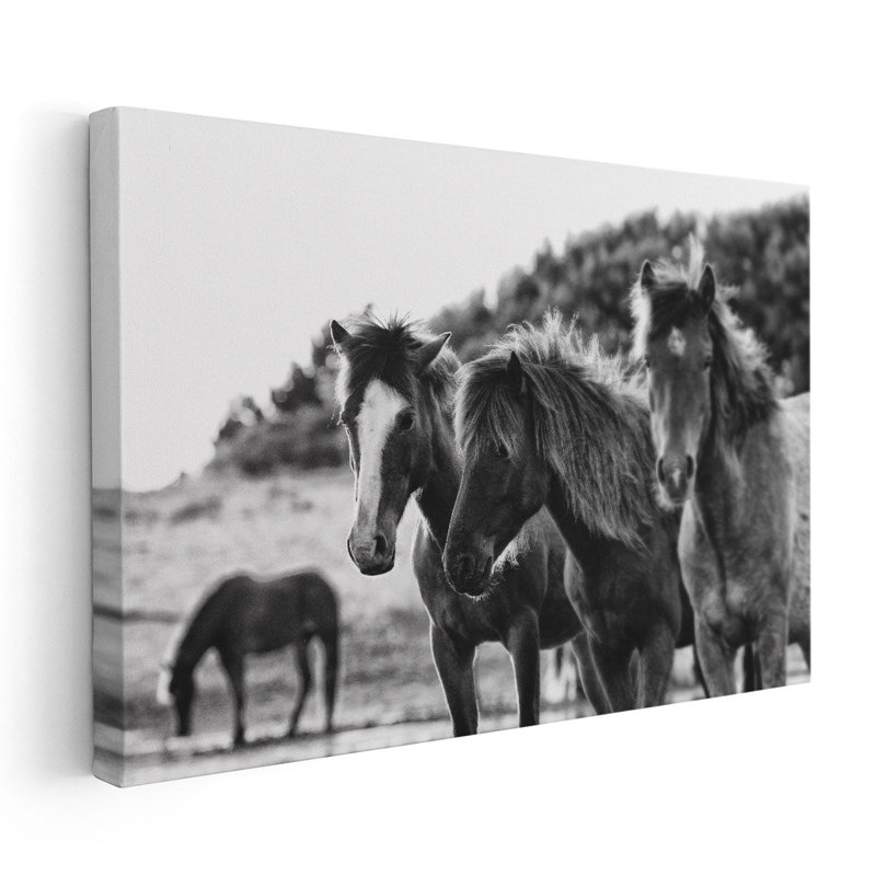 «Horses Three Black and White», reproduction d'art sur toile, H 20 po x l 30 po