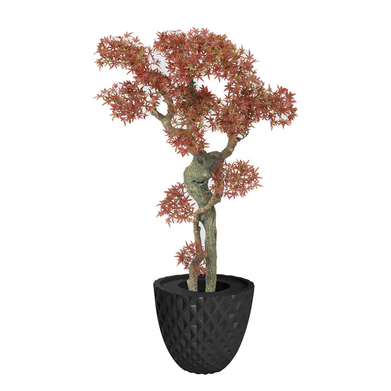 49,5 po H Bonsai Real-touch