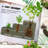3-Tier Galvanized Steel Raised Garden Bed Kit-1388395038