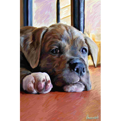 Kratos Baby Pit Bull