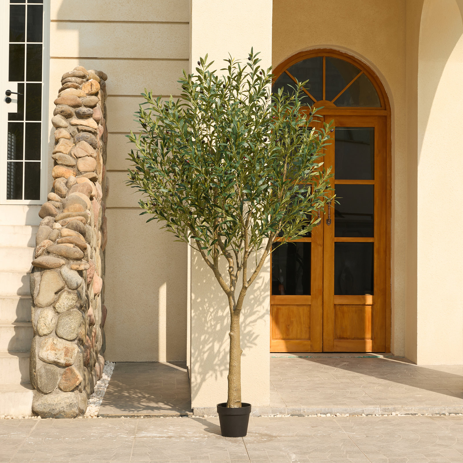 George Olive Tree in Pot, 84" H x 28" W x 28" D