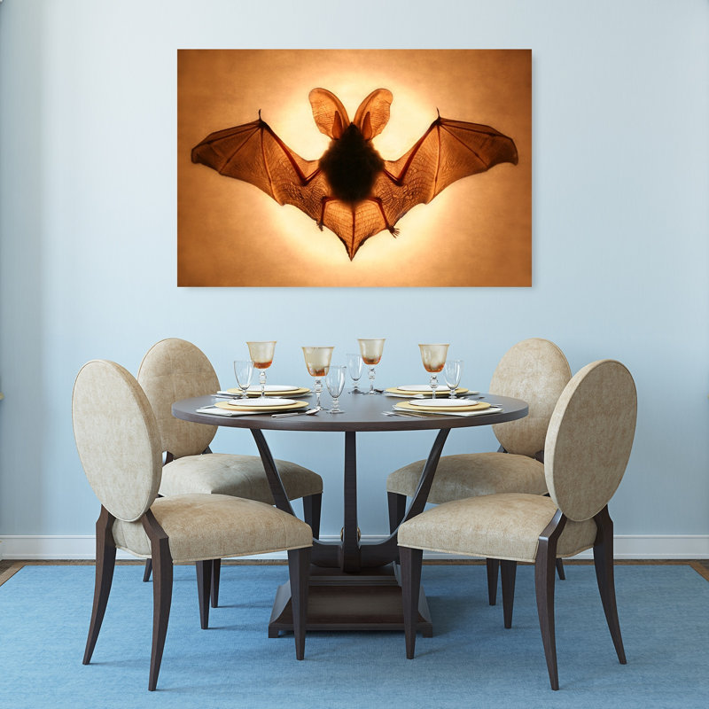 Ailes de chauve-souris - Affiche murale contemporaine représentant des chauves-souris, la nature et la faune