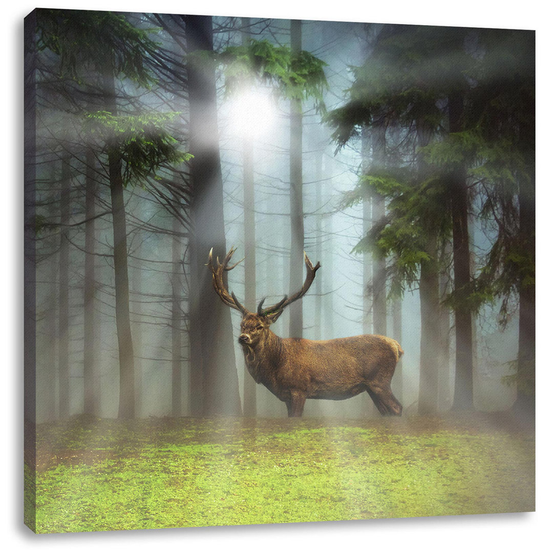 Leinwandbild Deer in Forest Glade Sunbeams