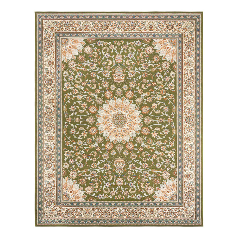 Indoor/Outdoor Traditional Area Rug, Rectangle 7'10" x 10'