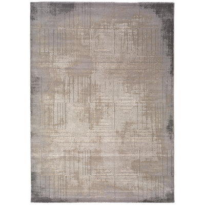 Derlyum Machine Woven Grey Indoor Rug