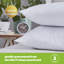 Silentnight Anti Allergy Mattress Protector And 2 Pillows Set-90847963