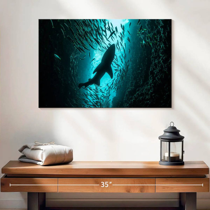 Brampt Shark Depth, 16" H x 24" W