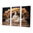 Toile tendue