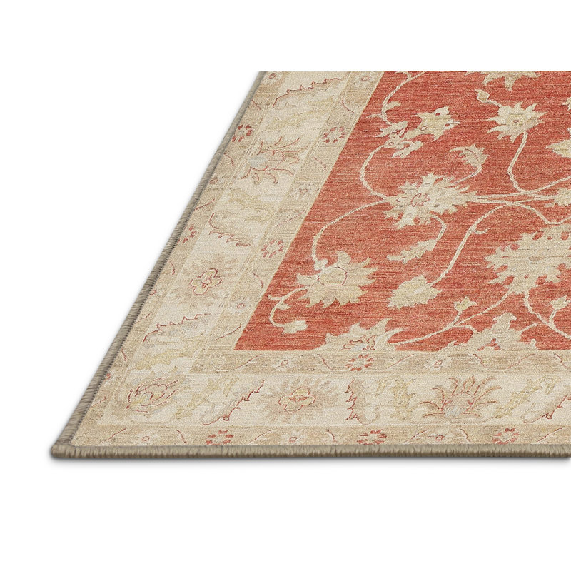 Cecilius Oriental Indoor Rug, Rectangle 3' x 5'