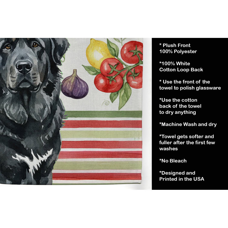 Torchon noir, Black Tibetan Mastiff