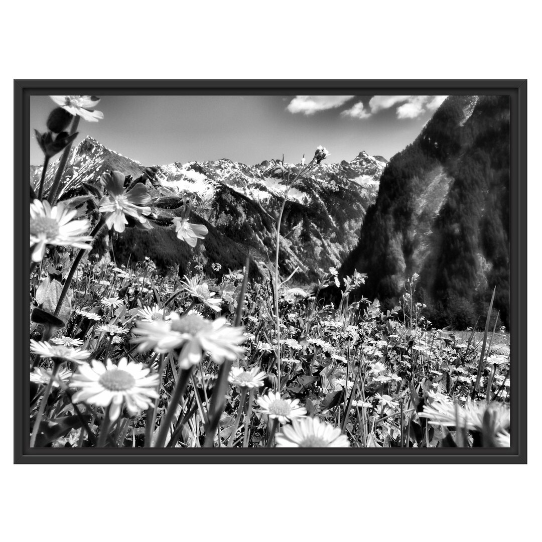 Gerahmtes Wandbild Wunderschöne Blumen Alpenwiese