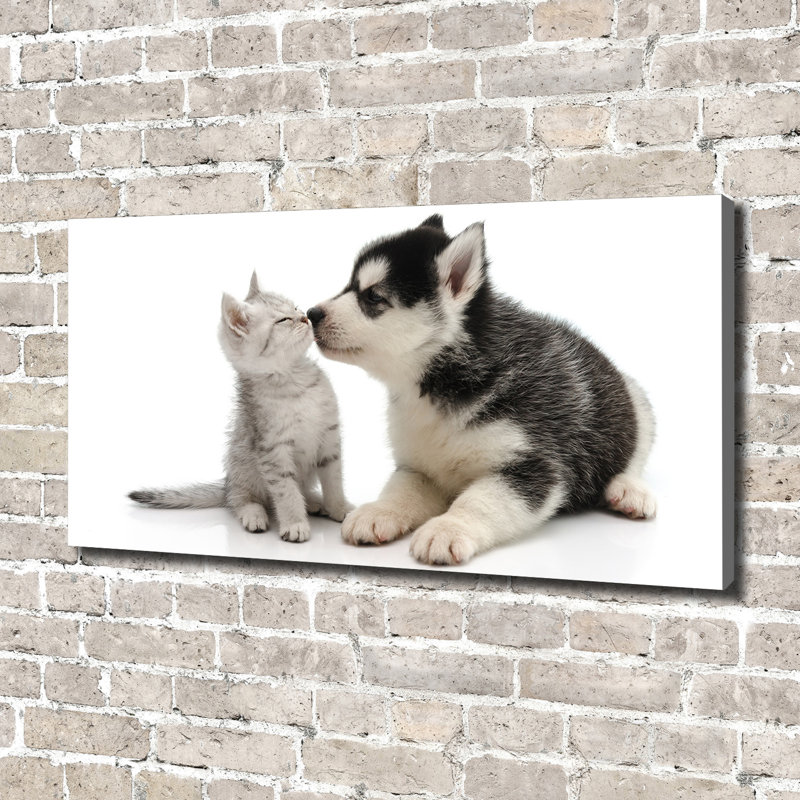 Dog And Cat - Wrapped Canvas Print