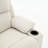 Remote-Controlled Heating And Massage Assistive Recliner-1018603309
