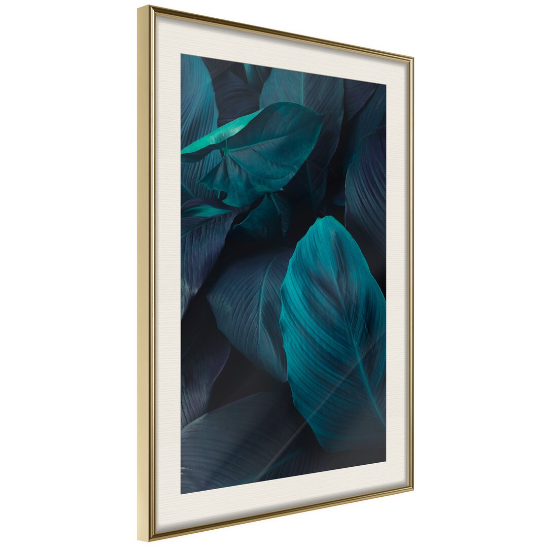 Gerahmtes Poster Evergreen Leaves