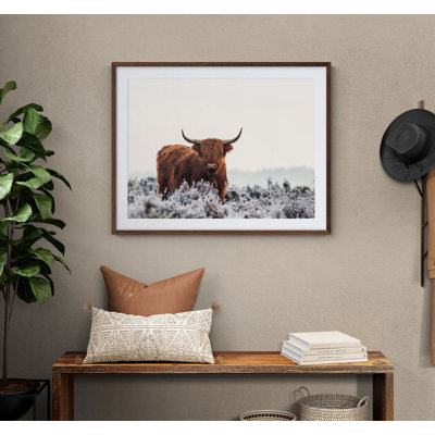 Art mural surdimensionné rustique vache Highland, reproductions de photo de vache à la ferme