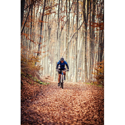 Forêt à l'automne par Miljko