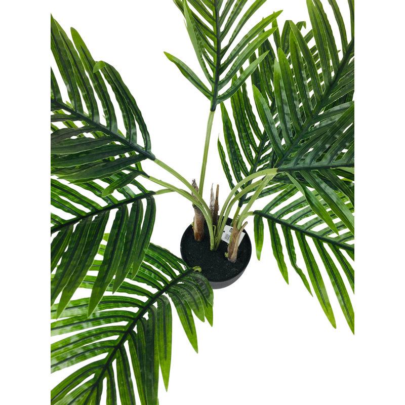 68cm Palm Tree in Pot