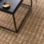 Jaipur Living Vitani SOS04 Handwoven Border Tan Area Rug (12'X15')-1414844277