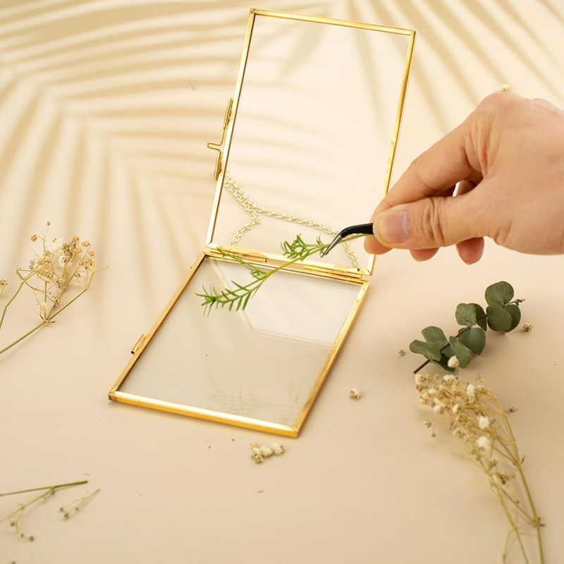 5 cadres de fleurs pressées avec pinces, cadres de table doubles en verre avec chaîne en métal pour plantes pressées, cadre photo horizontal et vertical