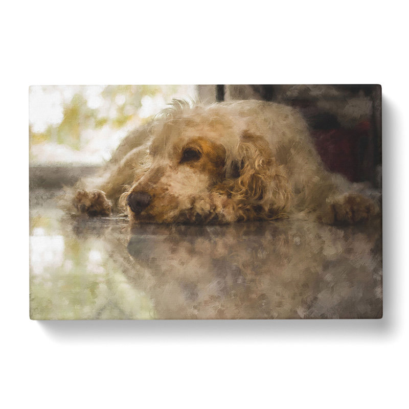 Cocker Spaniel Dog - Wrapped Canvas, 50cm H x 76cm W x 3cm D