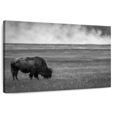 Parc national de Yellowstone