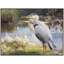 Birds-2090726212-2090726211