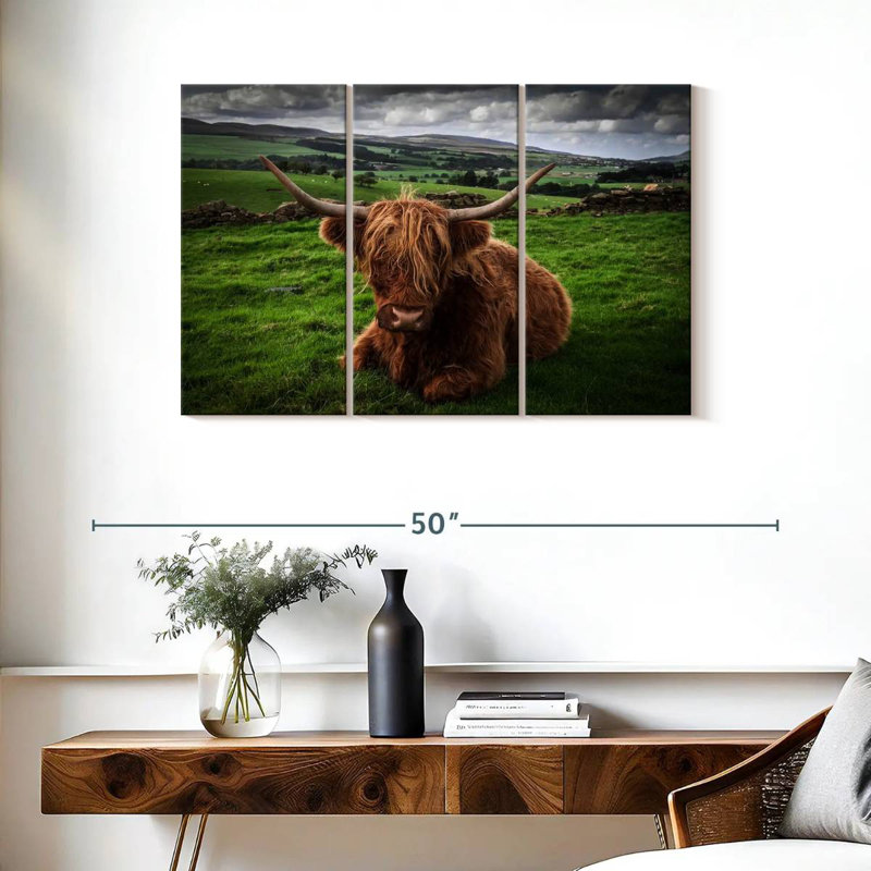 Mellow Highland Cow, 24" H x 38" W