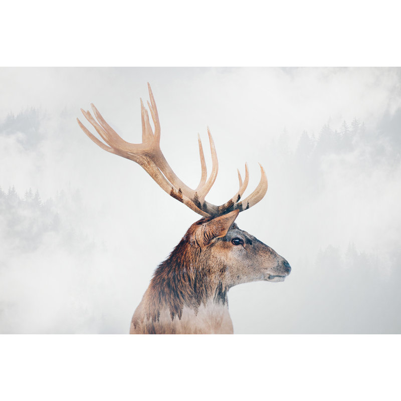Wrapped Canvas Print, 50.8 cm H x 76.2 cm W