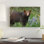 «Black Bear Portrait, North America II» par Tim Fitzharris - reproduction de photo sur toile