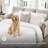 Francie Upholstered 87'' Sleeper Sofa