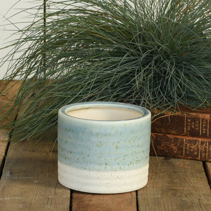 Statham Sand rencontre Sea Cachepot, H 3,5 po x l 4,25 po x P 4,25 po