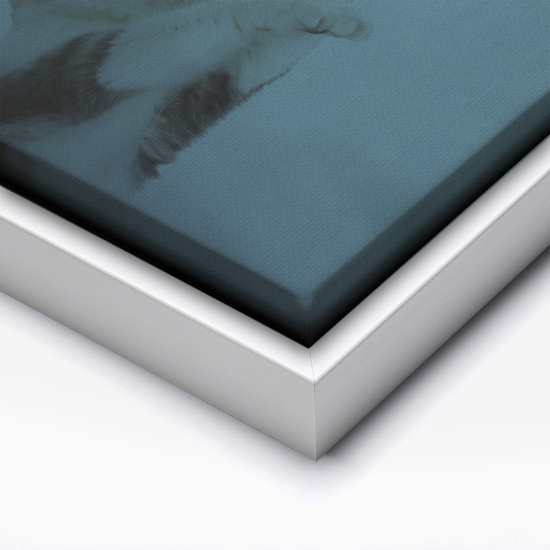 Pattes, Canvas, White Framed, 11"H x 14"W