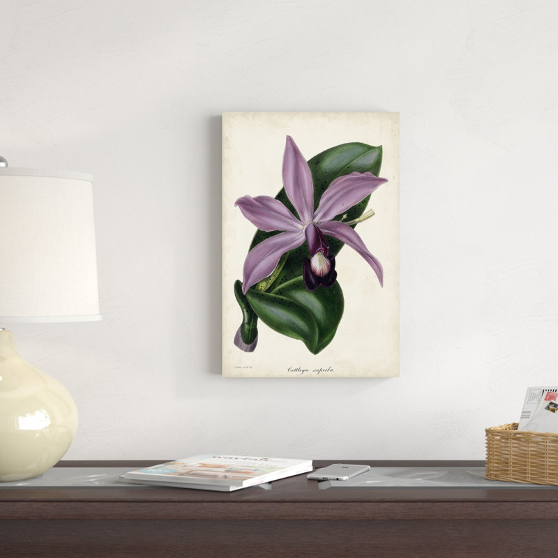 Orchidée prune, H 18 po x l 12 po x P 1,25 po
