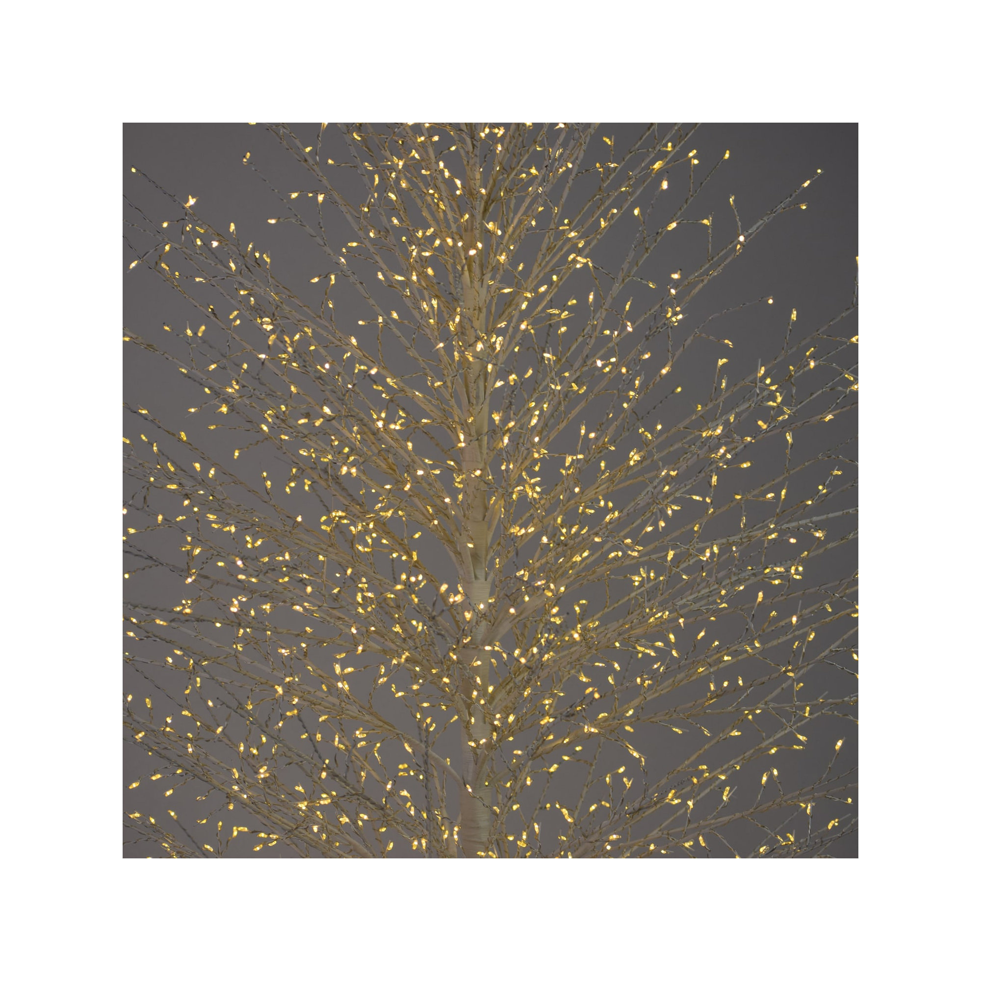 Birch Tree with Warm White LED Lights, White, 70.86" H x 20.8" L x 20.8" D