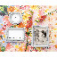 Metal Picture Frame-294253598-294253599
