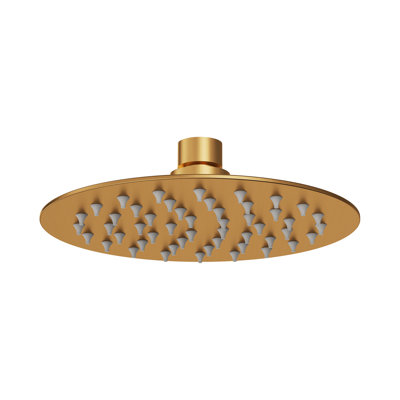 Pomme de douche ronde à fonction unique de 6 pouces