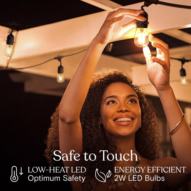 Ambience Pro 48 ft. Plug-In Outdoor Patio LED String Lights with 15 Warm White S14 Edison Bulbs, Weatherproof