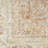 Nourison Essentials Persian Beige/Rust Indoor/Outdoor Area Rug-789299792