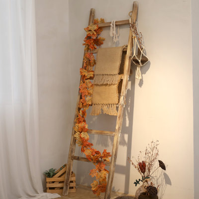 Gracie Oaks 6.4ft Wooden Blanket Ladder,24in Wide