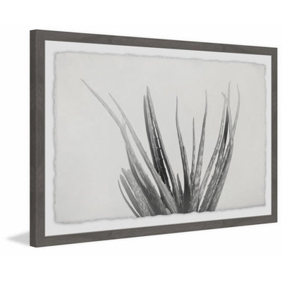 Thin Stems - Single Picture Frame Print