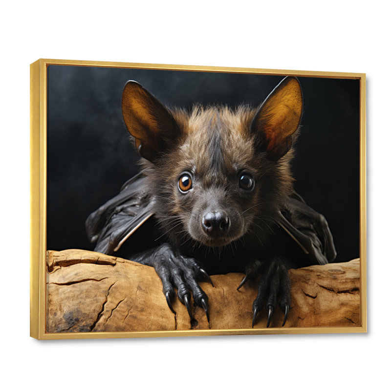 Portrait de chauve-souris I - Impressions encadrées de chauve-souris, 30" H x 40" W, Cadre flottant doré