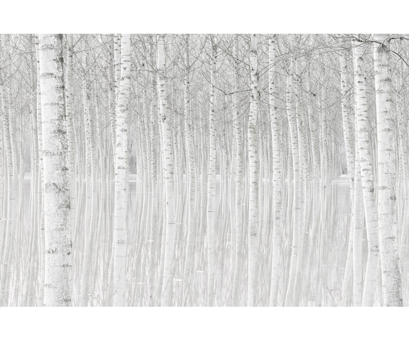 Wrapped Canvas Print, 50.8 cm H x 76.2 cm W