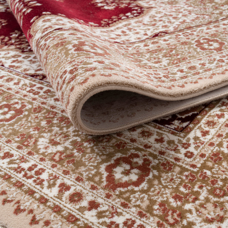 Tassa Cotton Oriental Rug