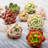 Dakota Fields Live Succulent Plant in Plastic Planter