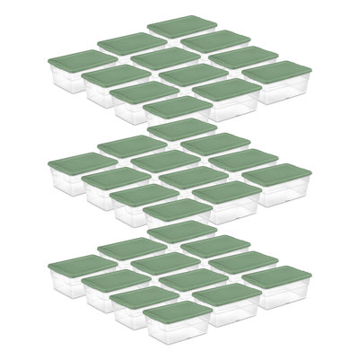 Bacs de rangement en plastique transparent 16 pte avec couvercle Sterilite (paquet de 36)